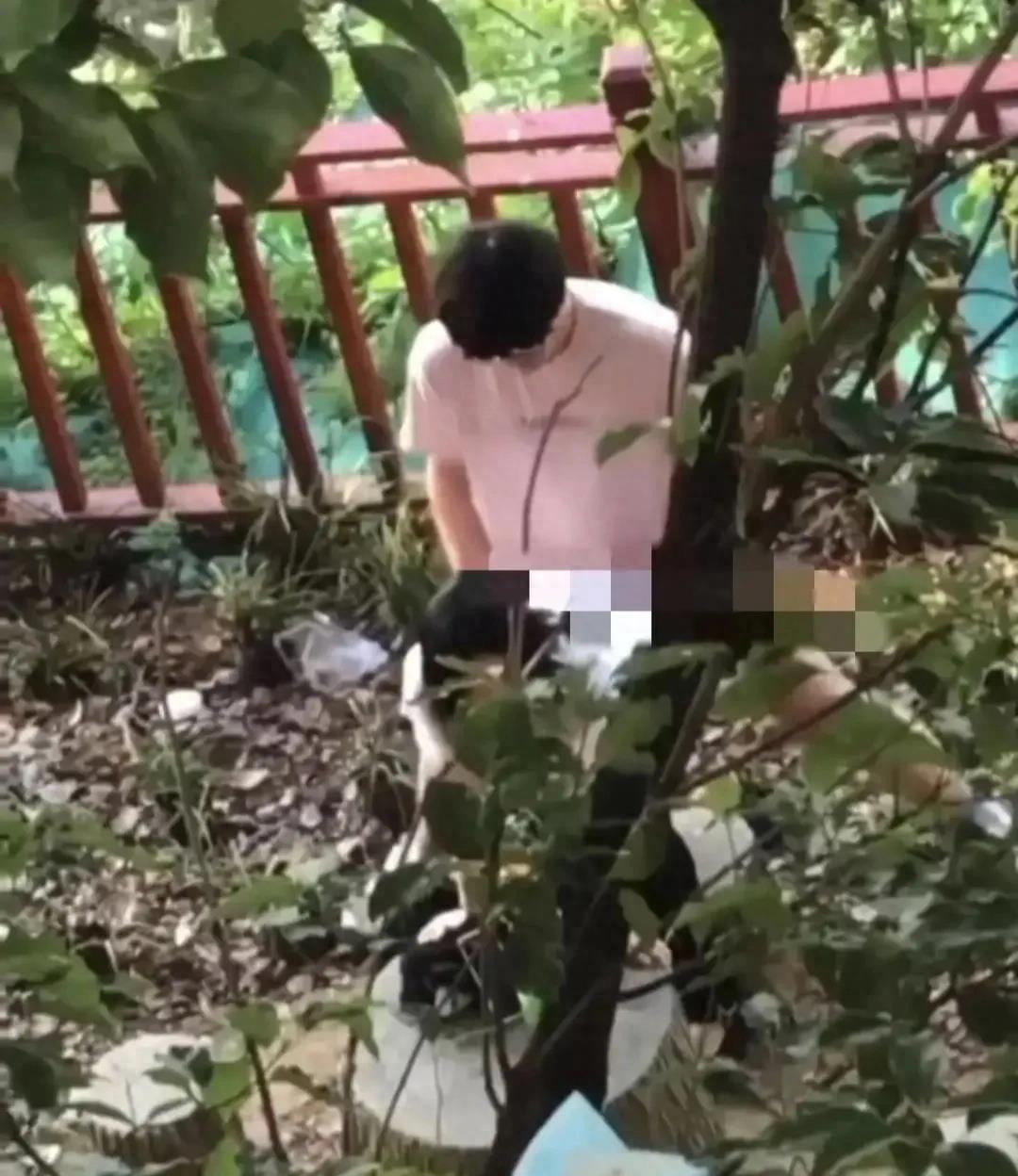 辽宁理工校园事件,辽宁理工学院事件最新消息