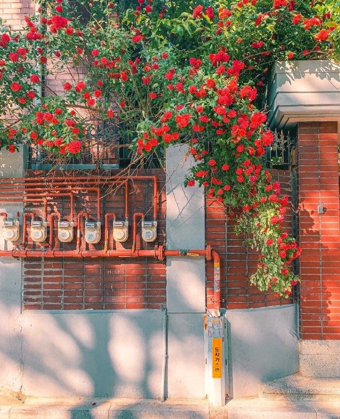 在女人眼里，这些行为都是“舔”，男生要少做