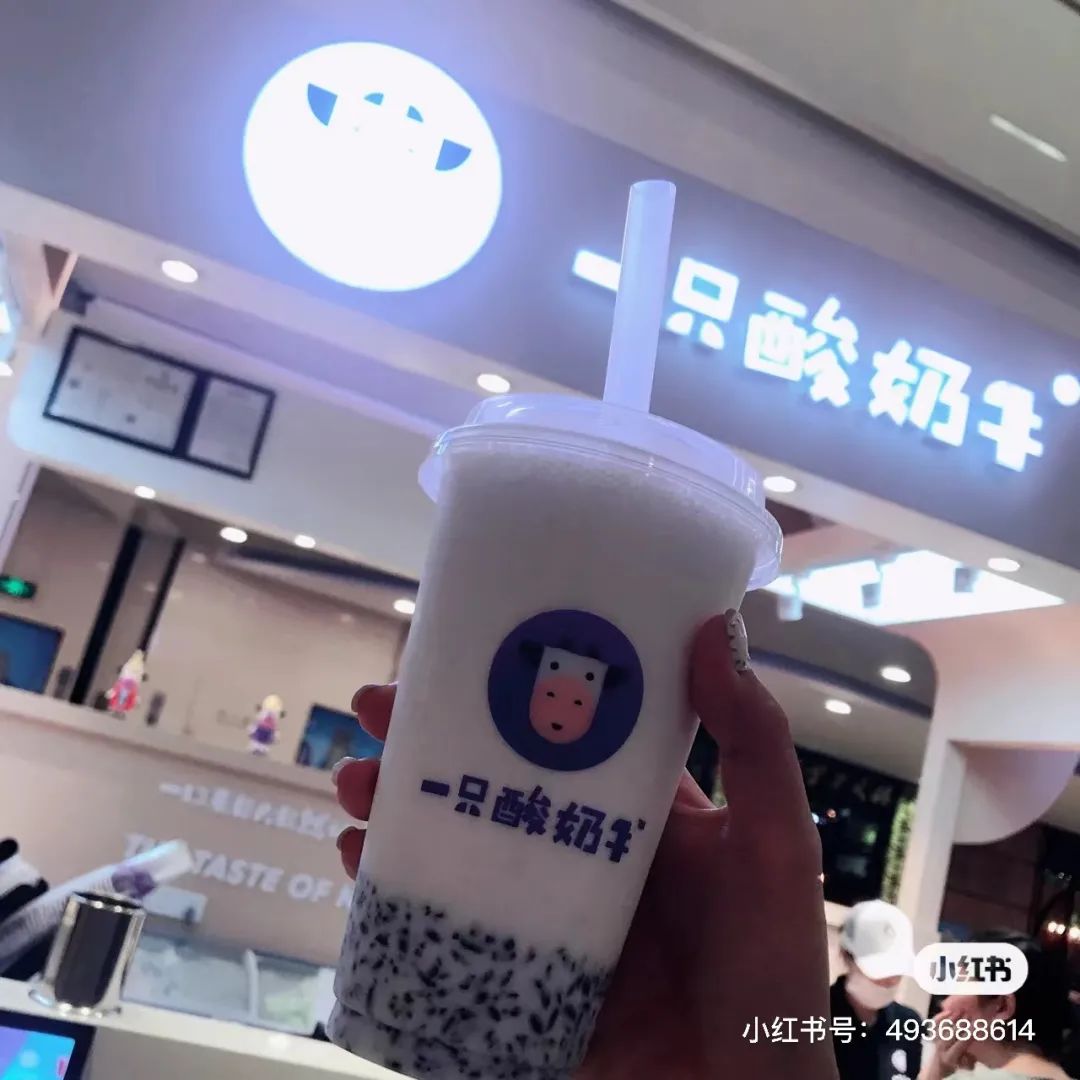 全国各地奶茶品牌地图,奶茶品牌排行榜前十名