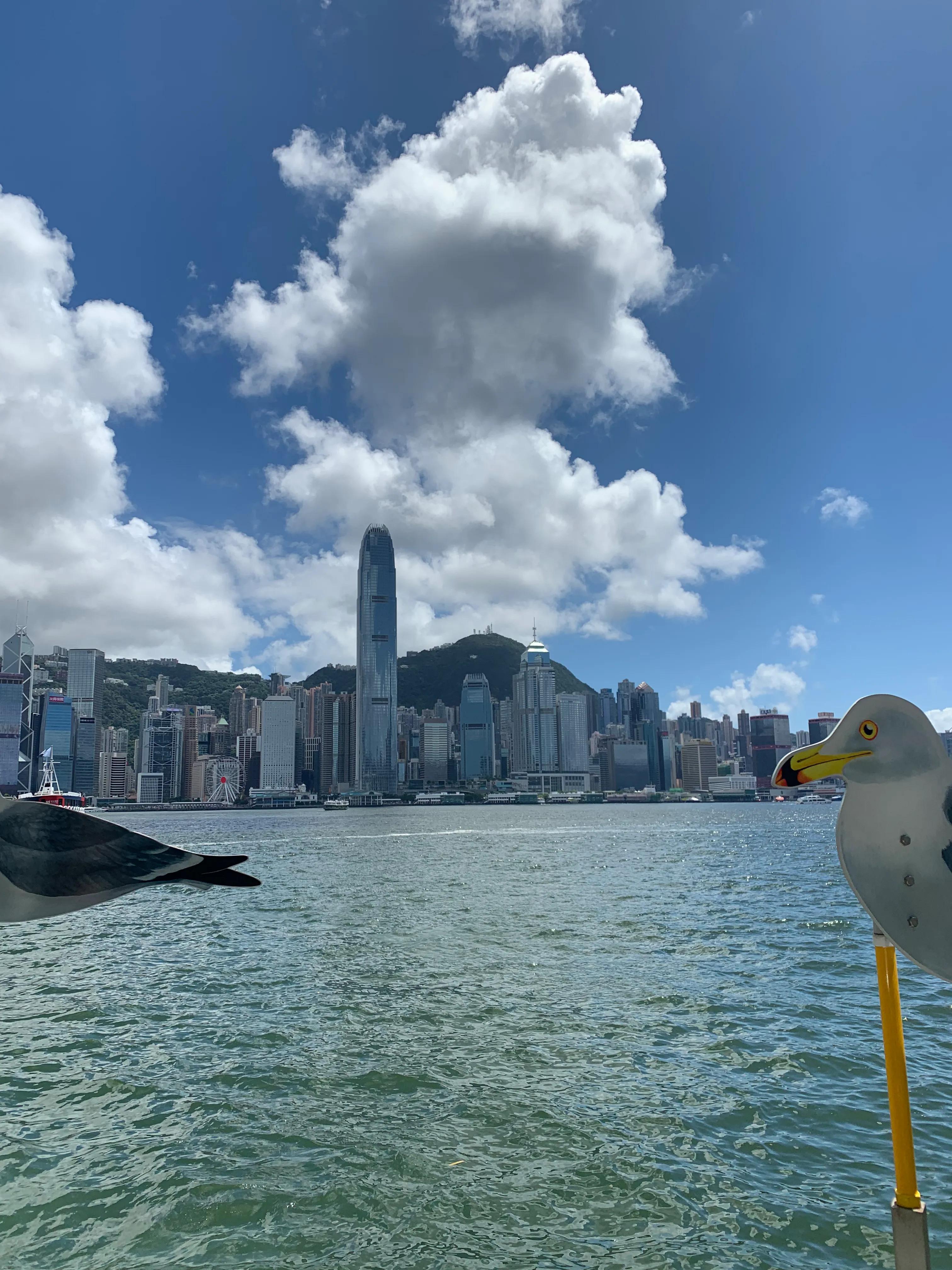 深圳出发香港一日游要多少钱,深圳去香港一日游路线推荐表