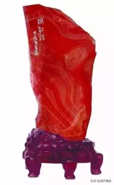 难得一见的仙鹤假奇石,这些难得一见的奇石美醉了