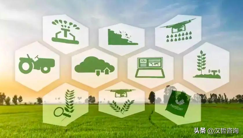 祝贺：四川省某农业投资公司“十四五”发展规划咨询项目中标启动