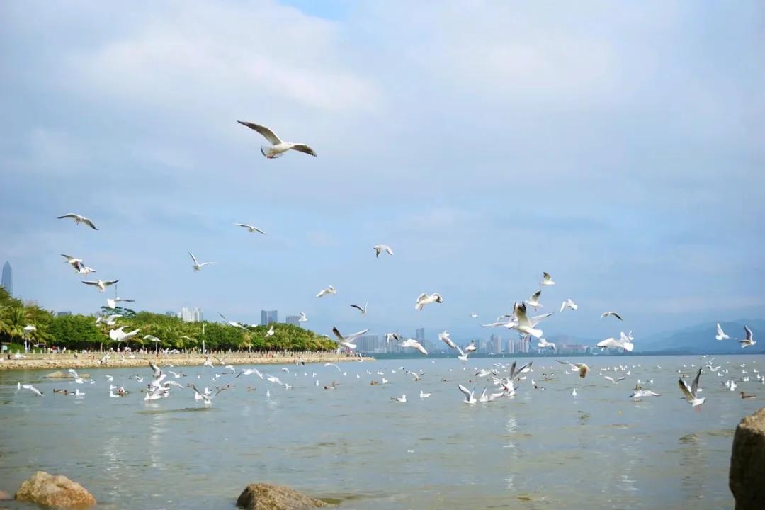 深圳甘坑客家小镇旅行,深圳甘坑古镇附近一日游攻略