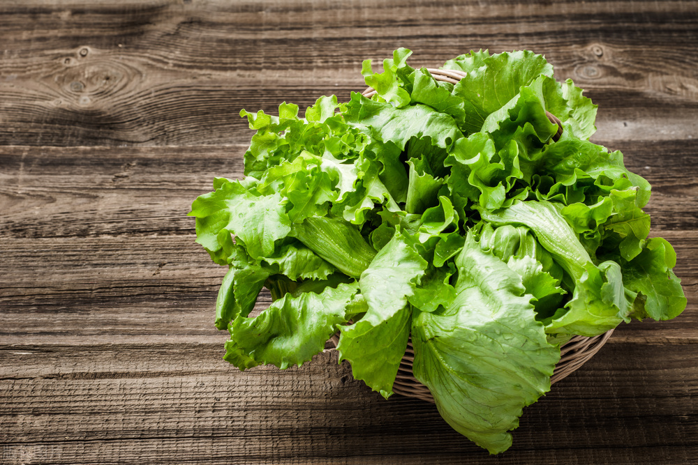 阳了能不能吃鱼虾,阳后可以吃鱼虾吗