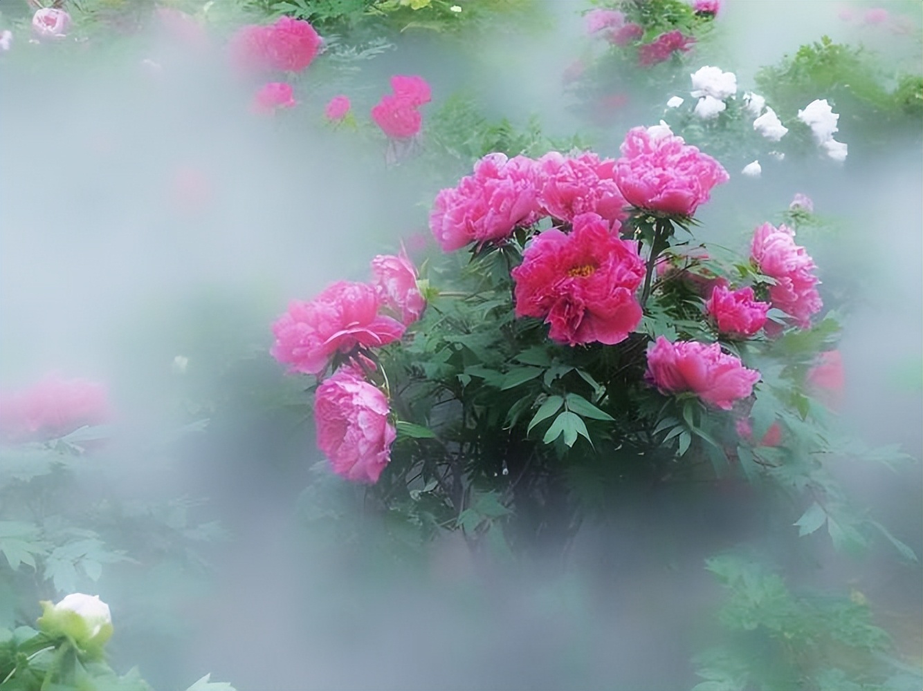 把梳子卖给和尚的故事是个伪命题,把梳子卖给和尚到底是对还是错