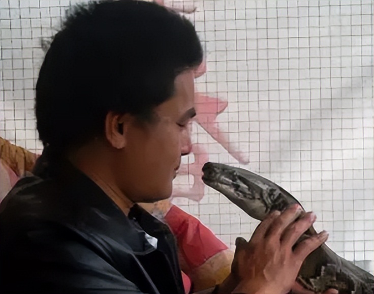 96年海南巨蟒,96年海南巨蟒事件真实情况