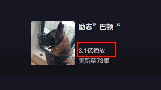 警犬巴顿有多凶猛,帅网红警犬巴顿训练视频