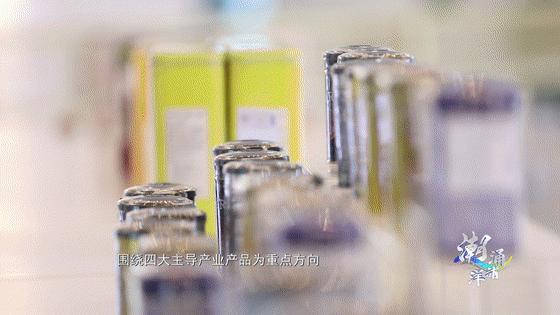 洋浦中国健康食品港,洋浦国际健康食品港