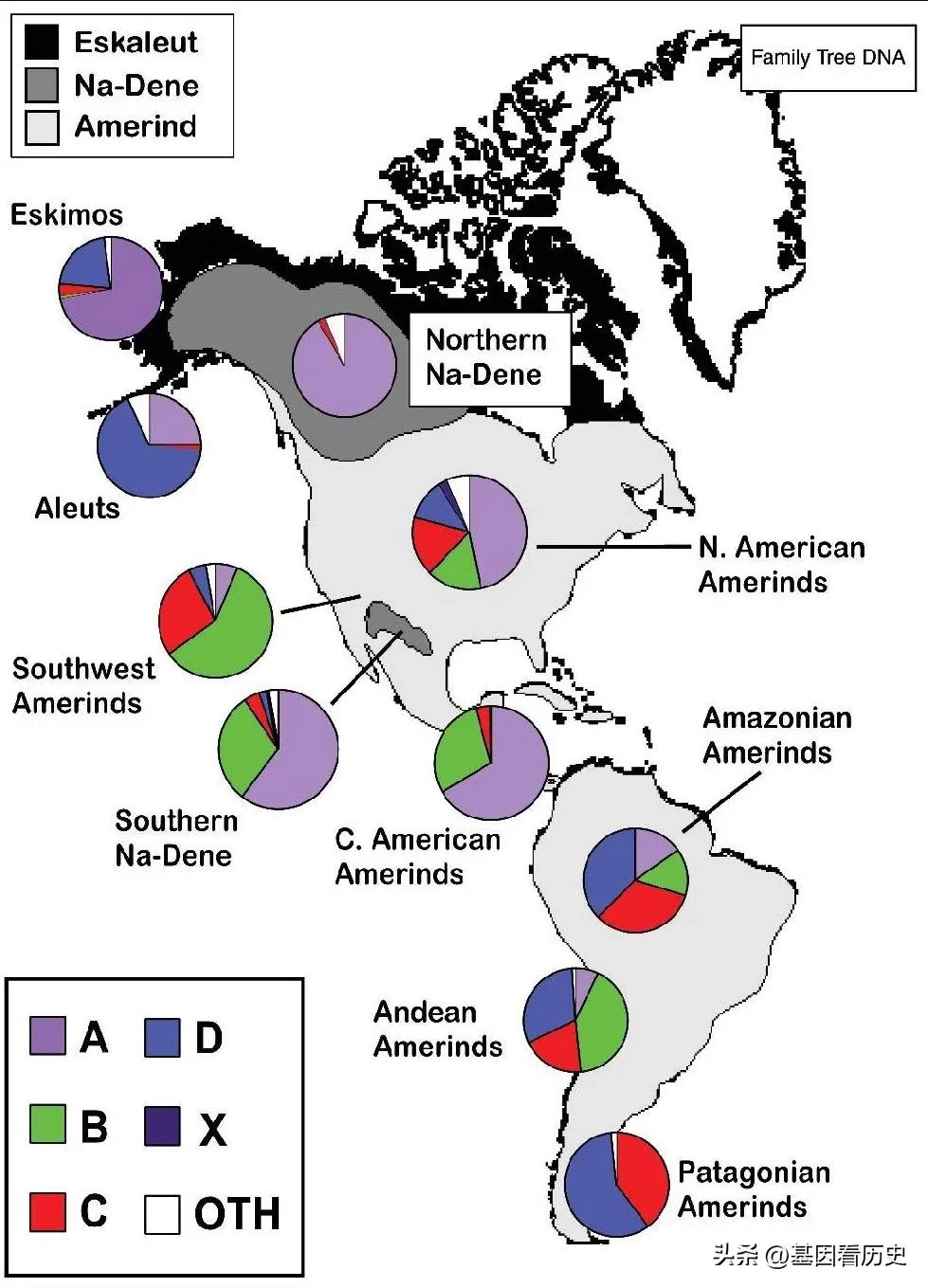 为啥美洲印第安人是黄种人,北美印第安人与南美印第安人区别