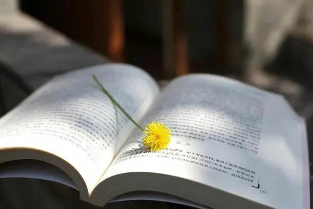 写在世界读书日:读书很苦,读着读着就甜了