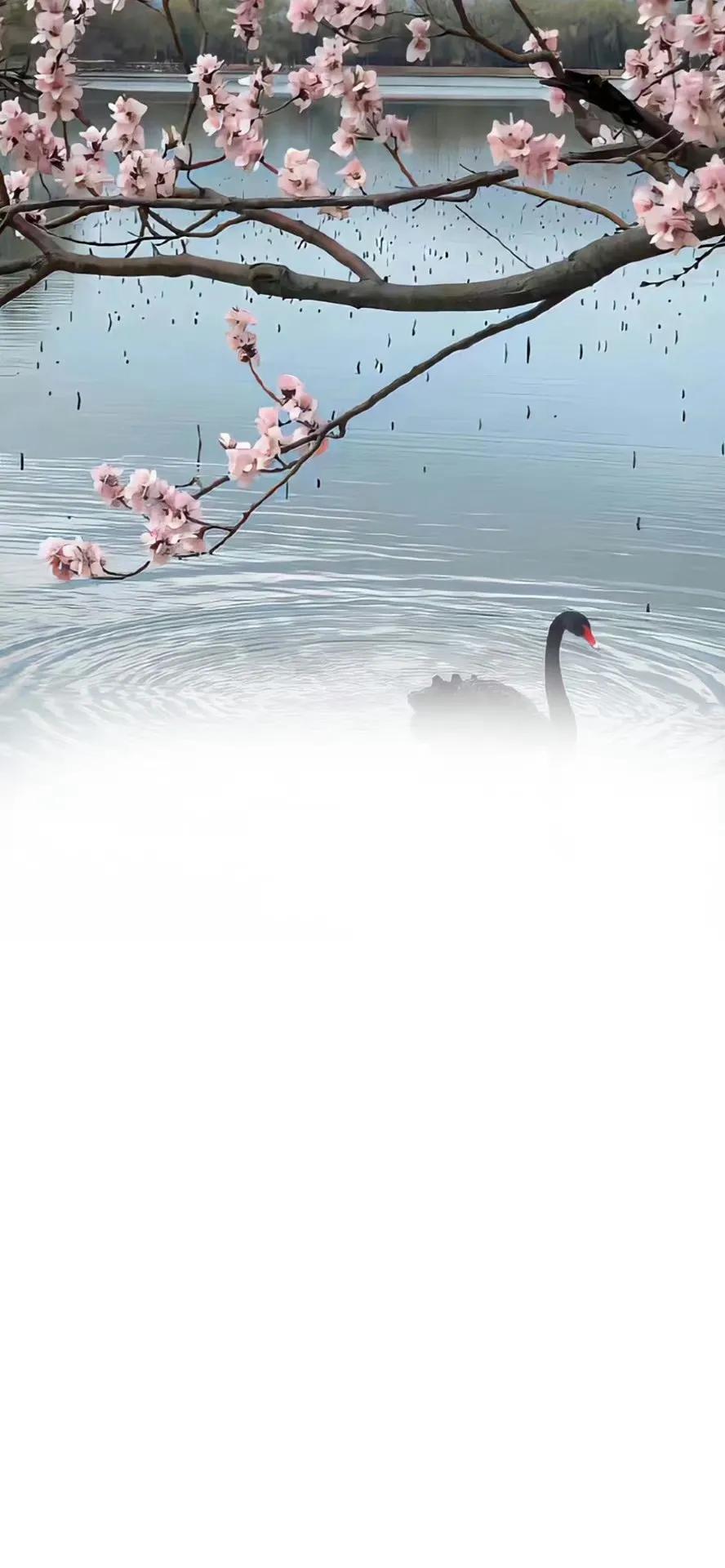 超好看的聊天背景图带文字,老公专用聊天背景图