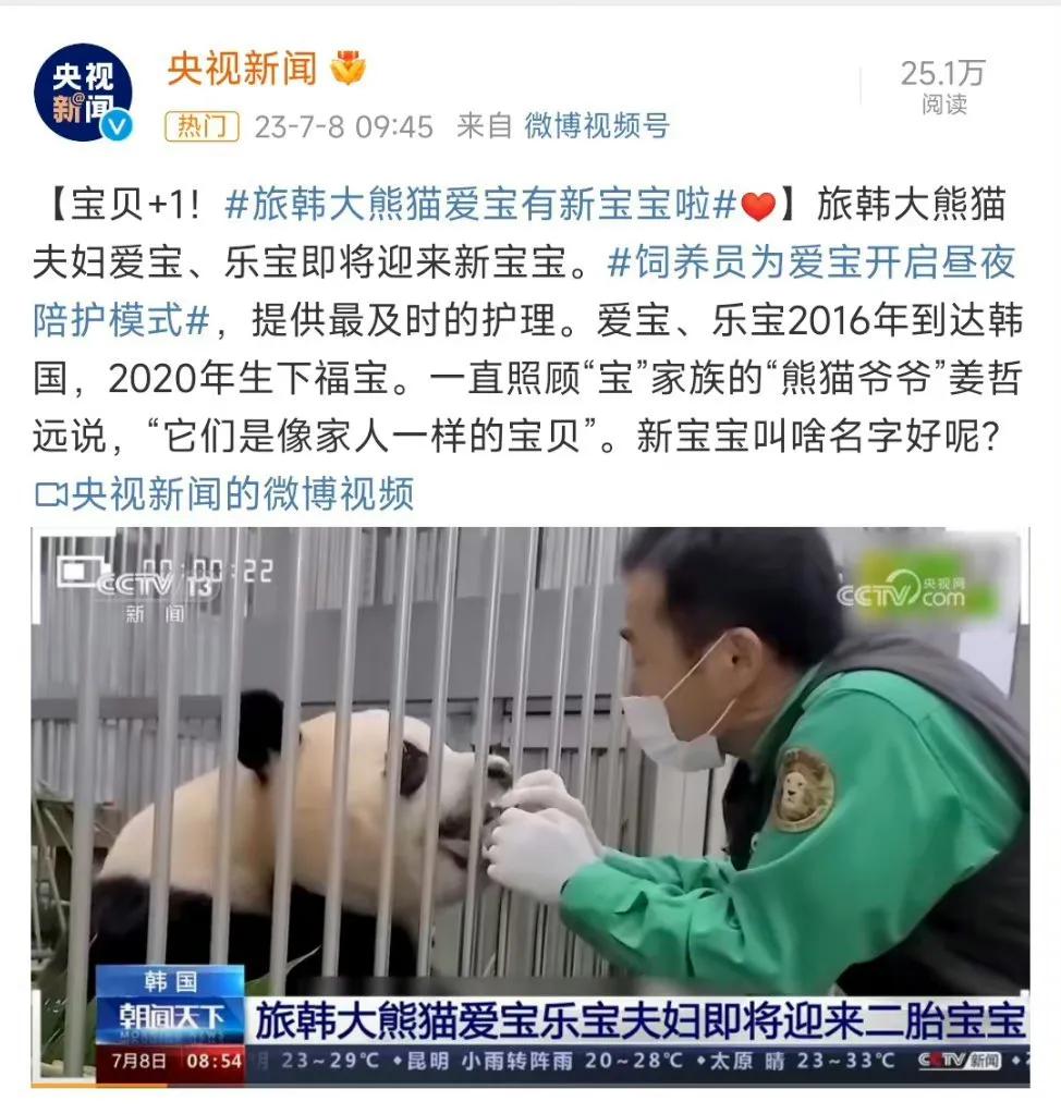 央妈也蹭热度官宣爱宝二胎，宝家族自然繁育的故事，再次开花结果