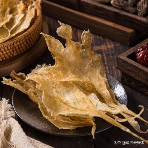 最全鱼胶品种大全,值得收藏的鱼胶品种