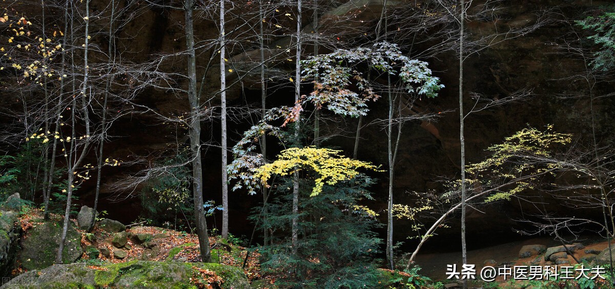 治疗了十多年的前列腺还治不好,得了慢性前列腺炎吃了很多中药