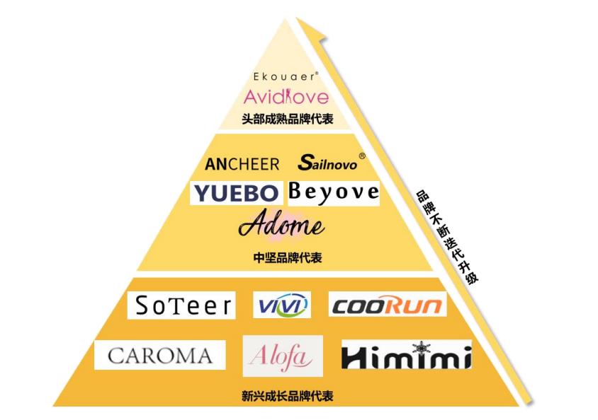 赛为智能6亿订单,赛维一年赚多少