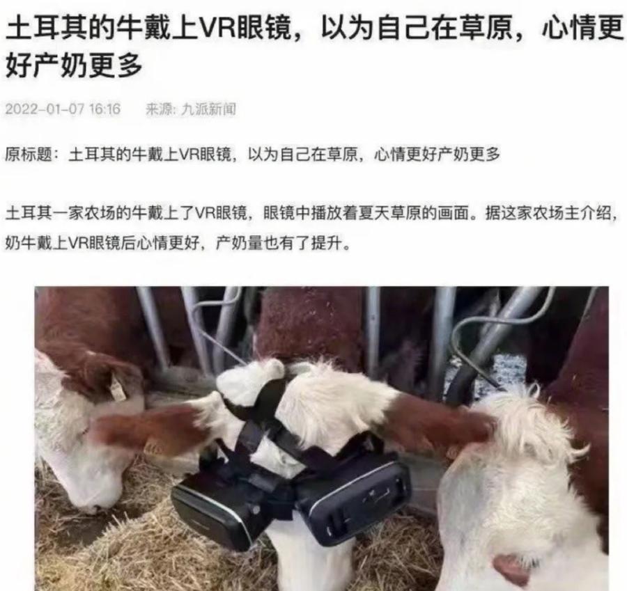 搞笑视频拯救你的不开心,开心表情包搞笑图片