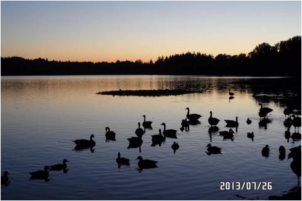 回味加拿大之旅,温哥华唐人街游玩