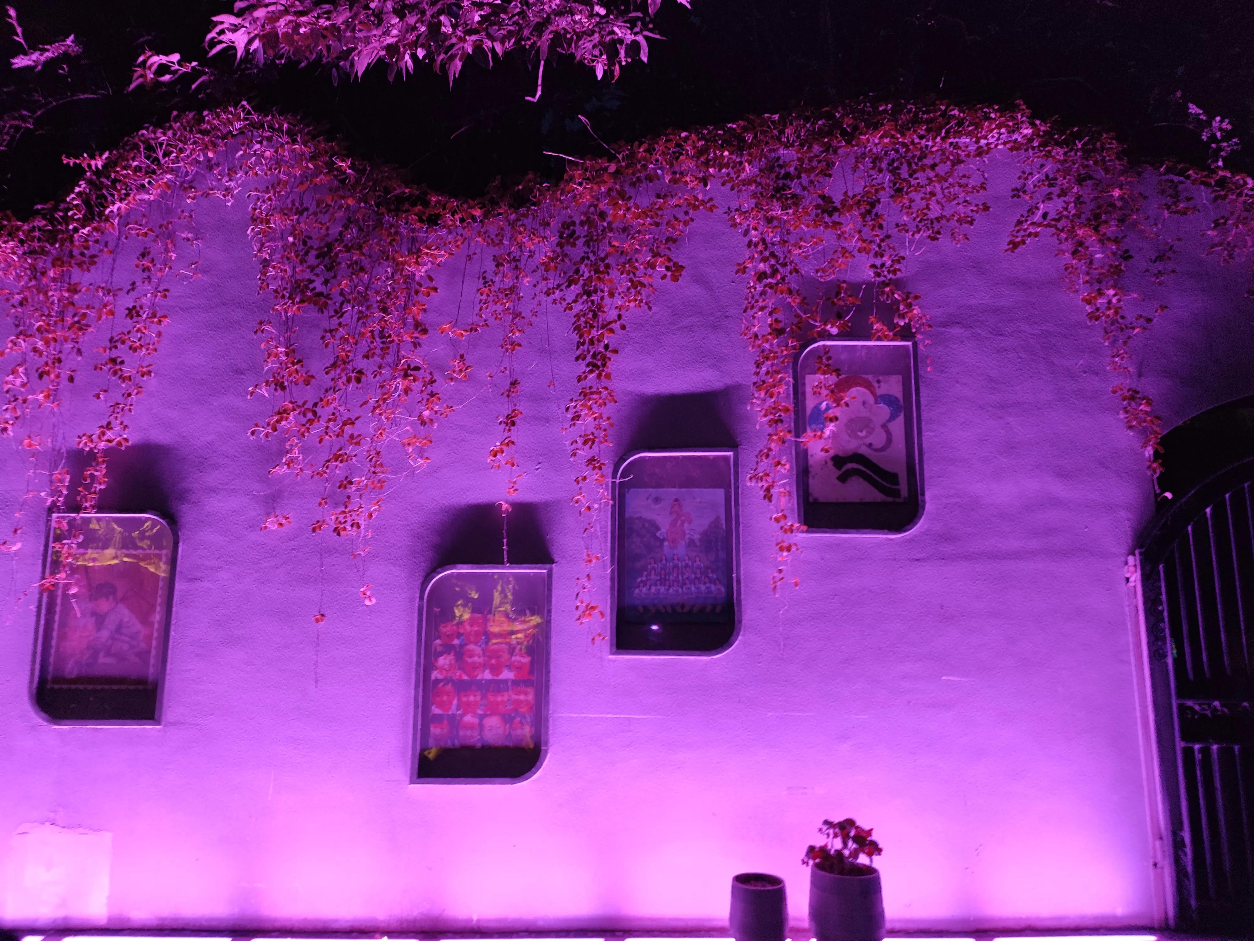 疫情后的欧洲建筑,中世纪欧洲疫情持续多久