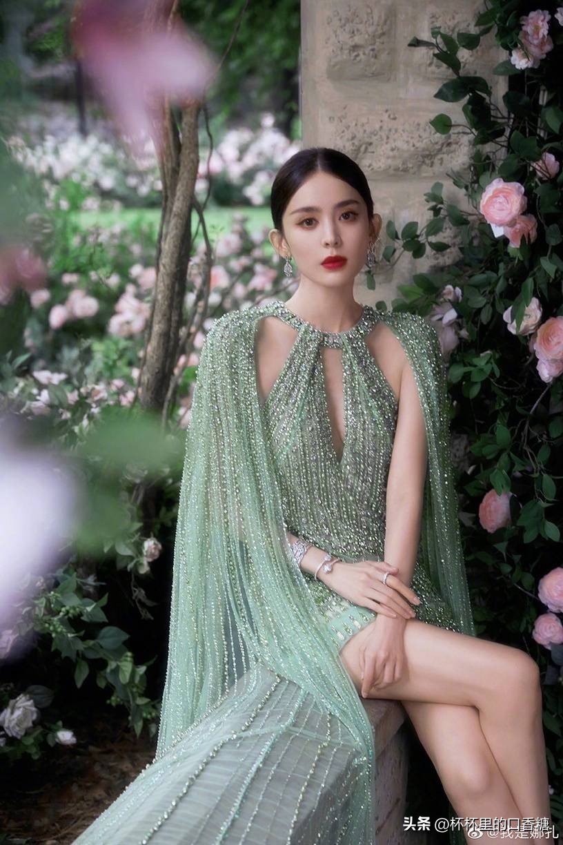 被黑最惨的五位明星,被黑最惨的六位明星