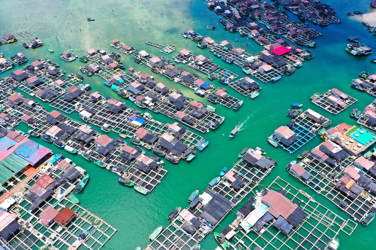 海南海政通,海政通