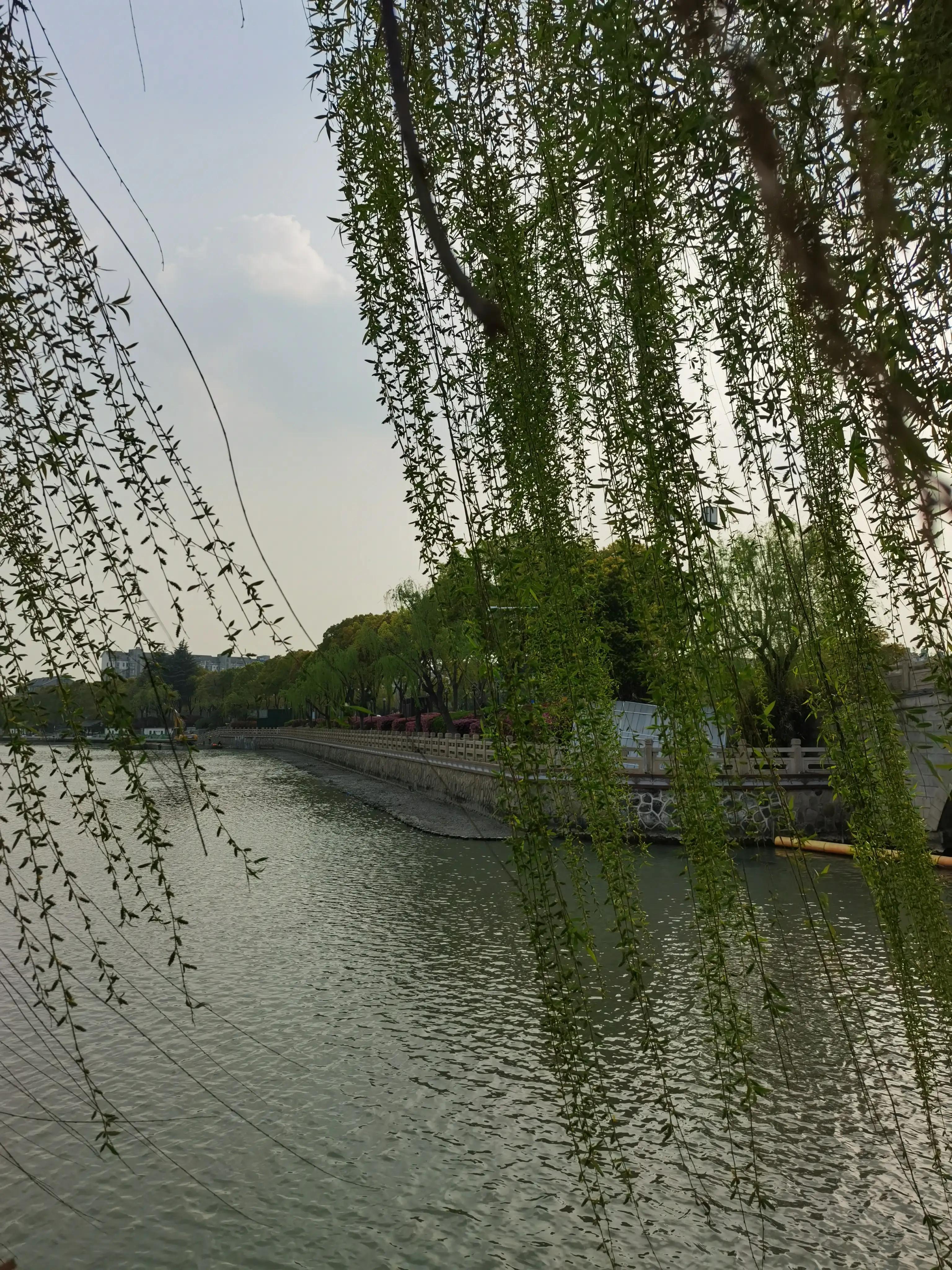 婴语奶声奶气,婴语声音视频