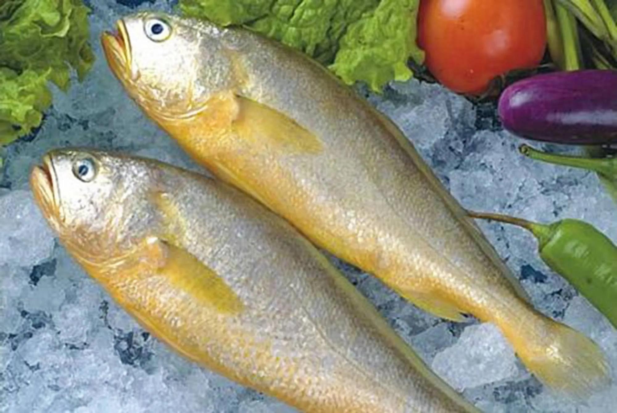 10种海鱼便宜营养价值高,30种最常吃的海鱼图片大全