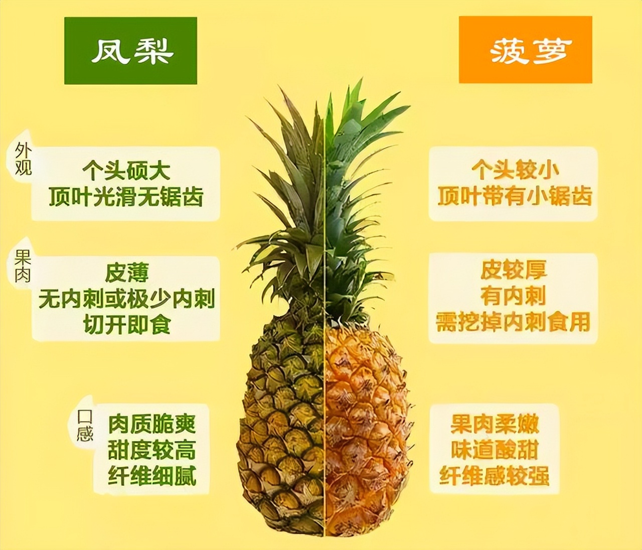 菠萝买叶长的叶短的,菠萝怎么鉴别好坏图解大全