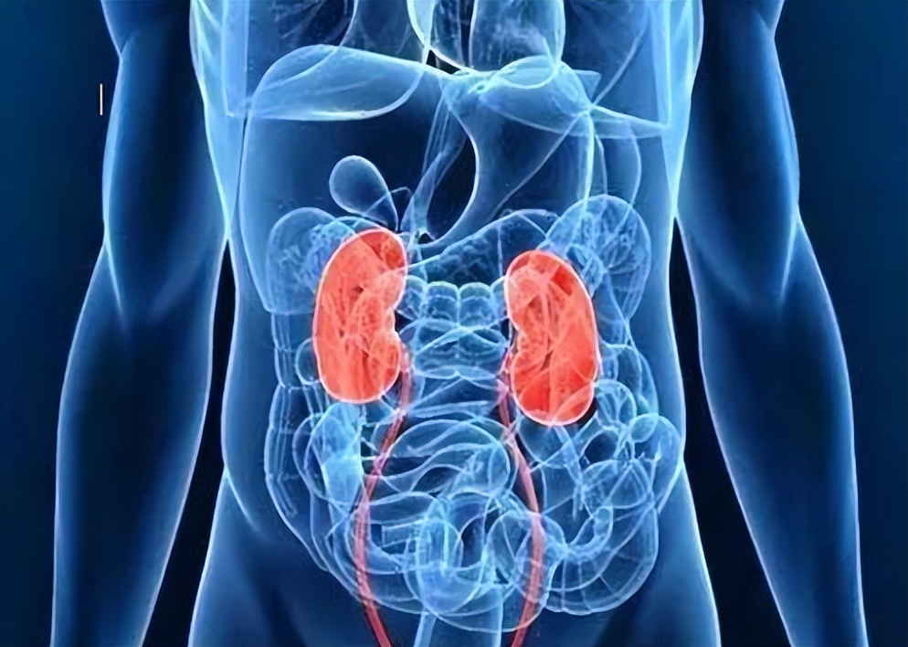 当年卖肾换苹果的少年,当年卖肾换苹果手机的少年