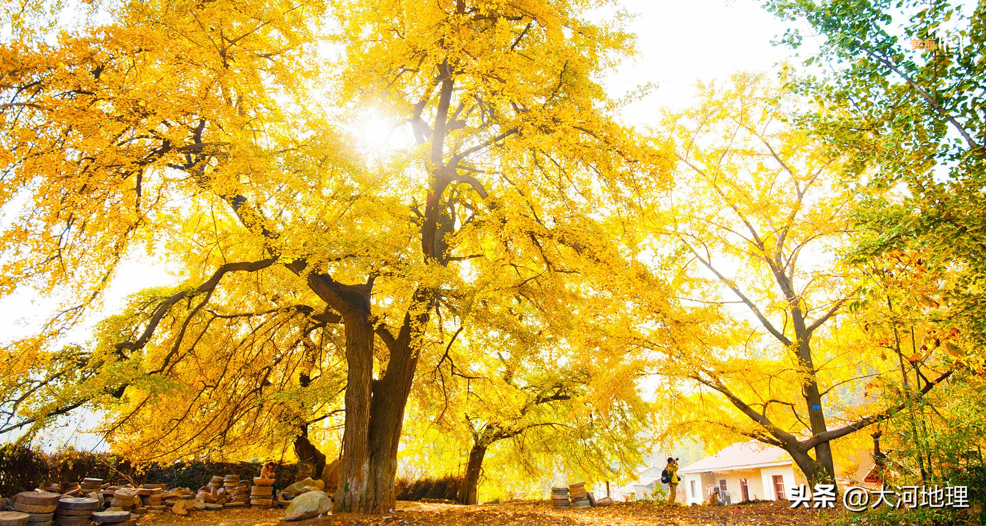 中国南方这30个景点,难说多知名,但敢说它的秋色最艳最浪漫