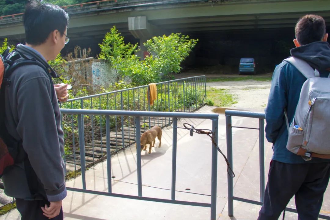 寻访秦岭古村落的感受,探秘秦岭最美空中村落犁辕坪