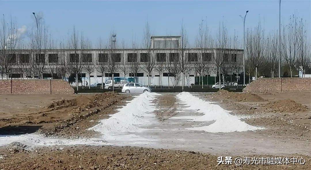 寿光大棚致富项目,寿光新农业项目