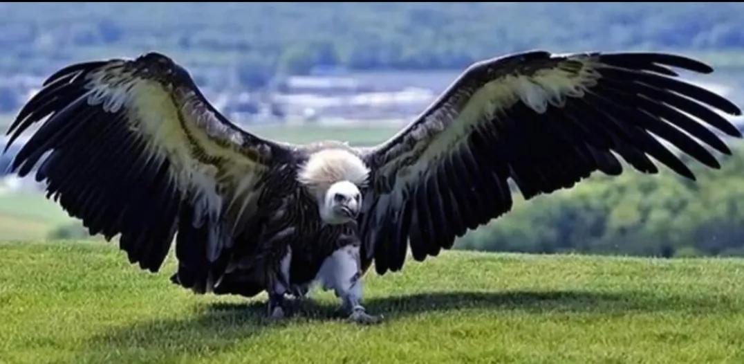 看足球了解地理,通过足球看中国