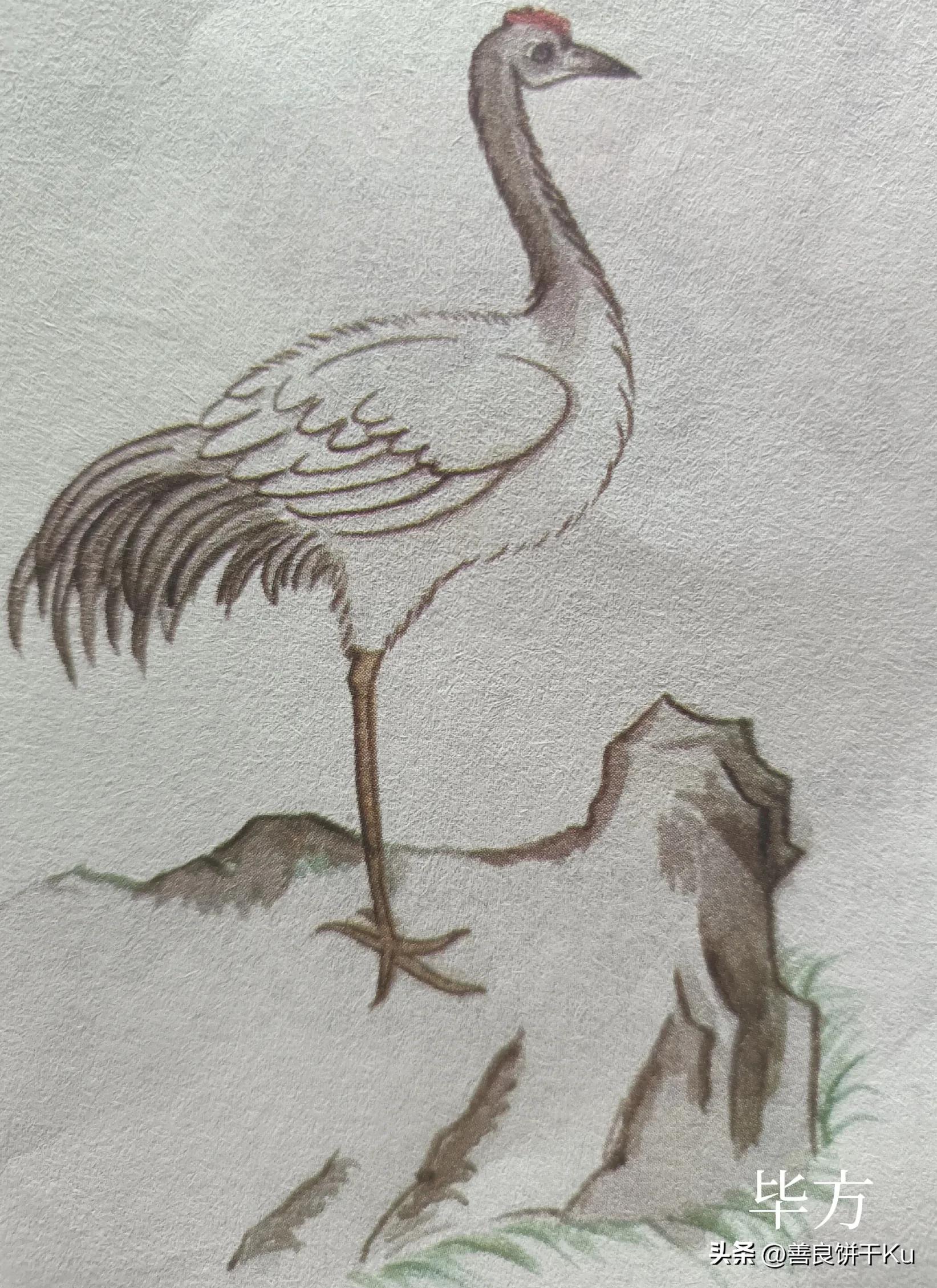 西次三经解读,西次三经什么意思