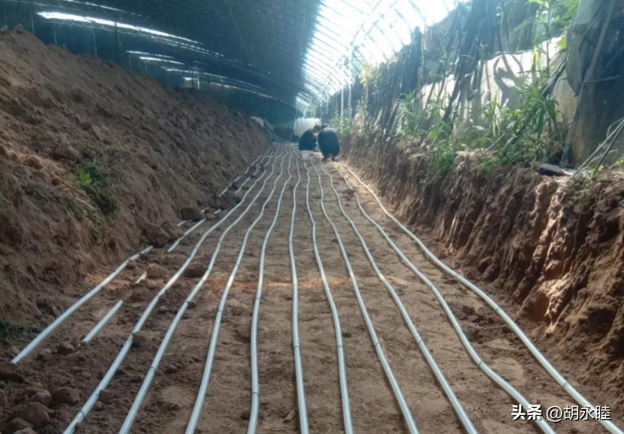 大棚地暖的问题,大棚地暖采暖