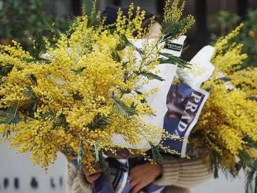 三月花事Vol.2|那些属于女神们的花