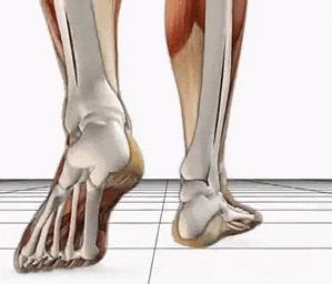 灵动飘逸的脚感你体验过吗？这双跑鞋可以给你答案