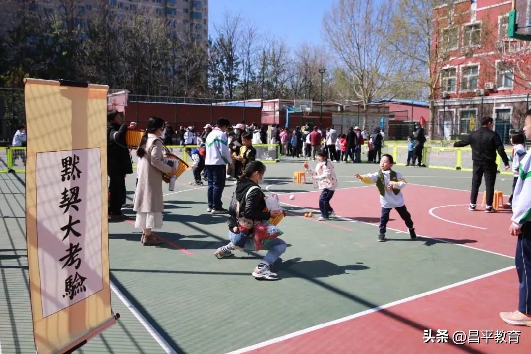 赋能于师丨城区学区在行动!