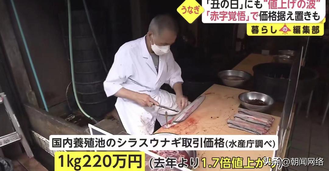 日本人的夏天为什么离不开鳗鱼？