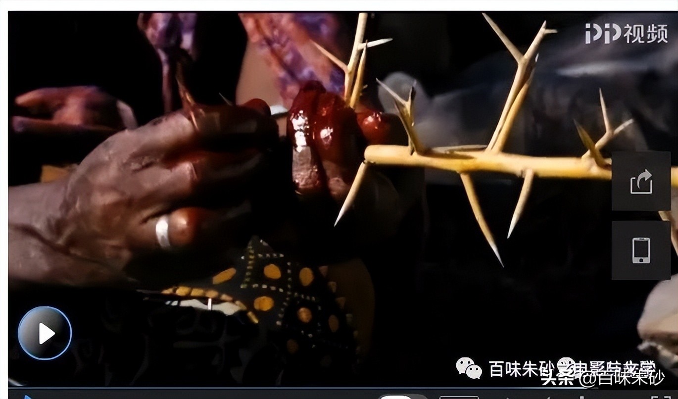 《电影赏析》001:英国影片《沙漠之花》——有一种罪恶叫割礼