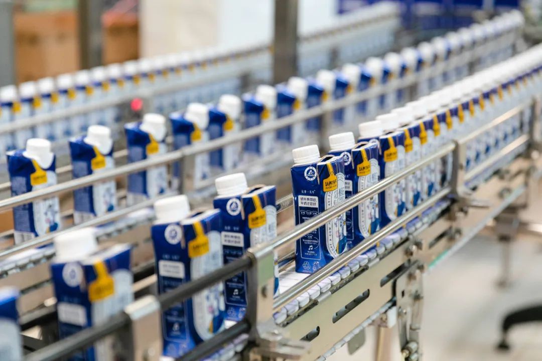 什么样的牛奶才好喝科普,鲜牛奶口感好关键靠什么