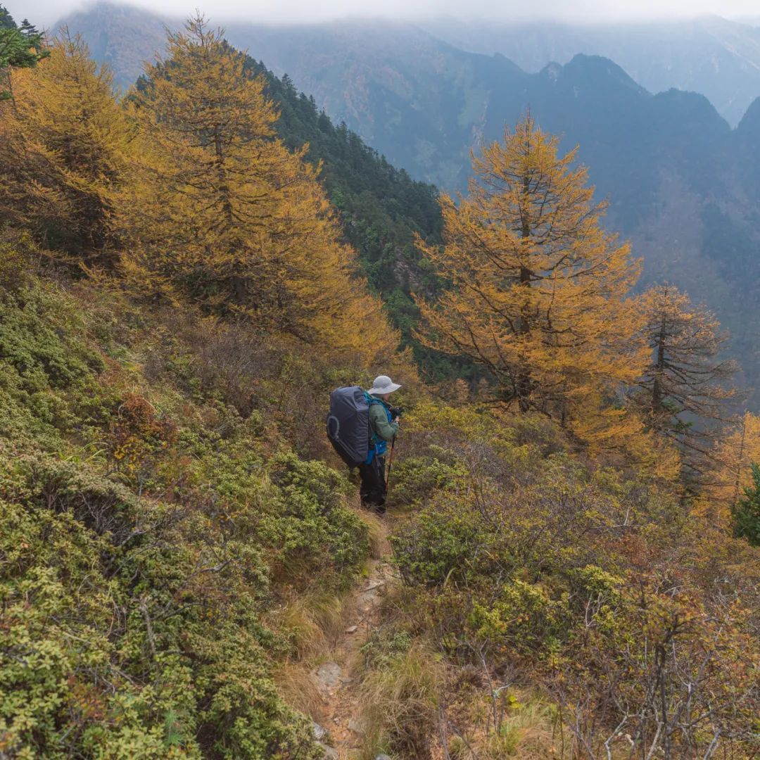 太白山是陕西最高点吗,秦岭最高峰太白山