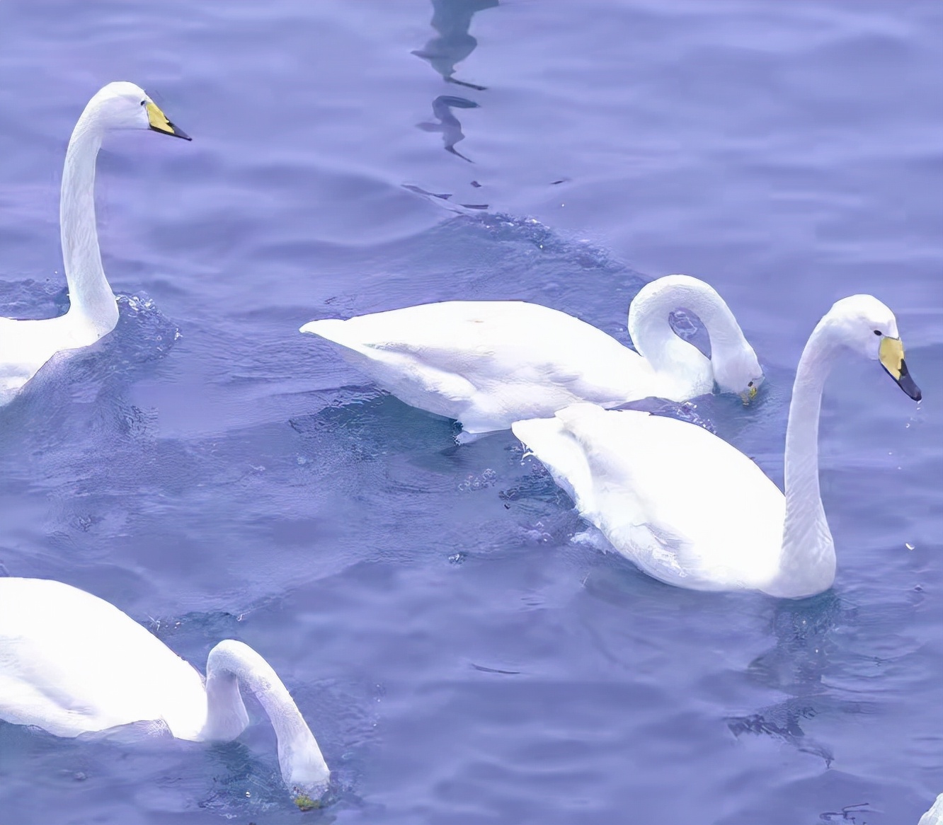 温柔的个性签名男生,温柔浪漫的个性签名