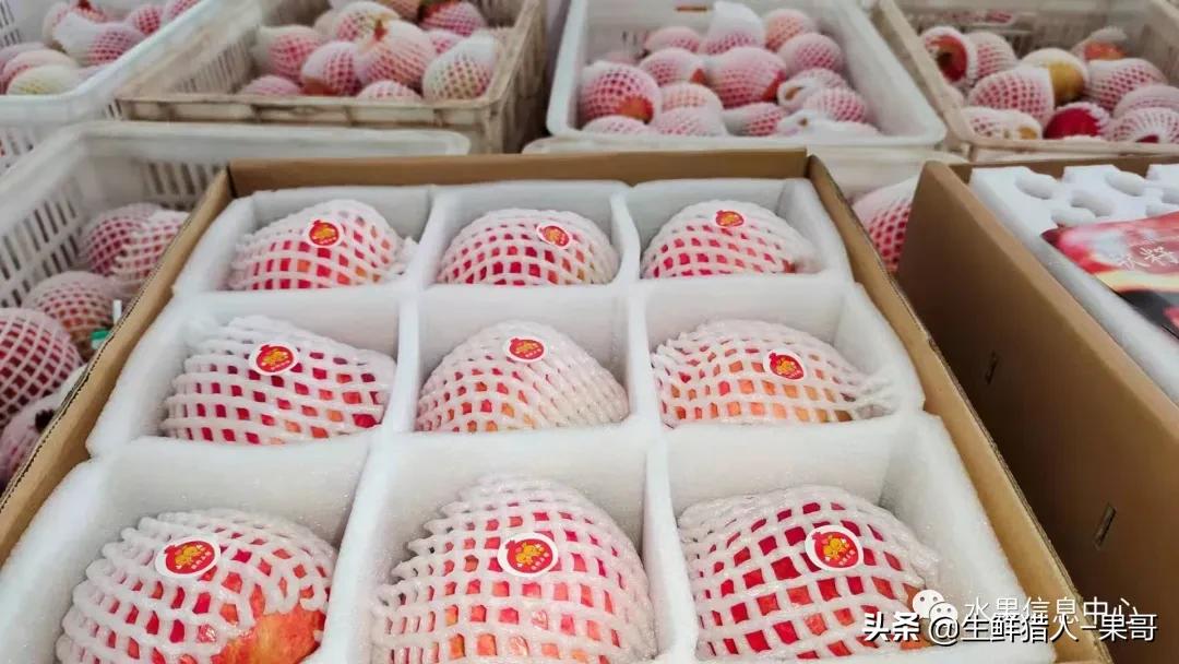 在水果中浆果是分哪几种,水果分类浆果