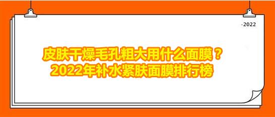 皮肤干燥毛孔粗大用什么免洗面膜,皮肤干燥毛孔粗大用什么面膜