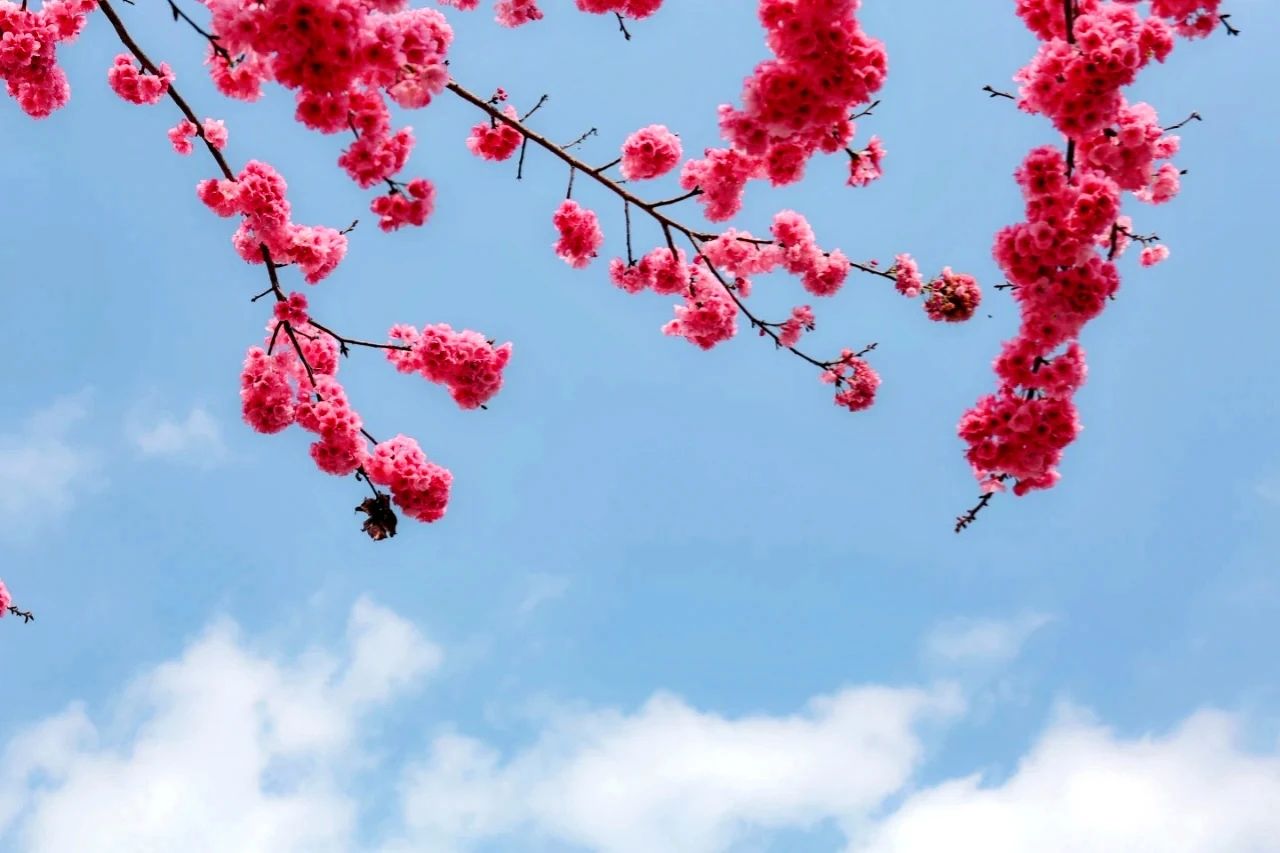 呈贡可以露营的公园,呈贡附近小众的露营地