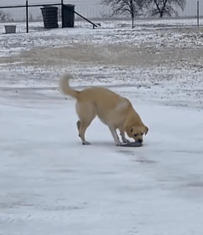 “曝光朋友圈代购聊天记录！！”哈哈哈哈哈哈这是什么社死现场啊