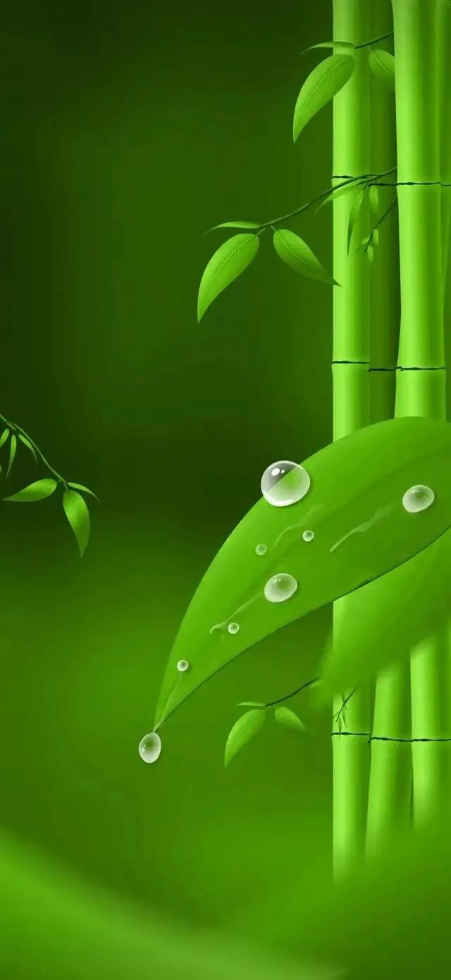 护眼壁纸动态壁纸高清全屏90帧,华为绿色养眼护眼壁纸
