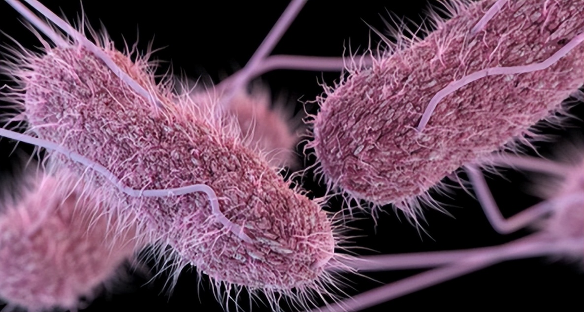 皮蛋被列入世界最恶心食物第一名,皮蛋被列入十大恶心食品