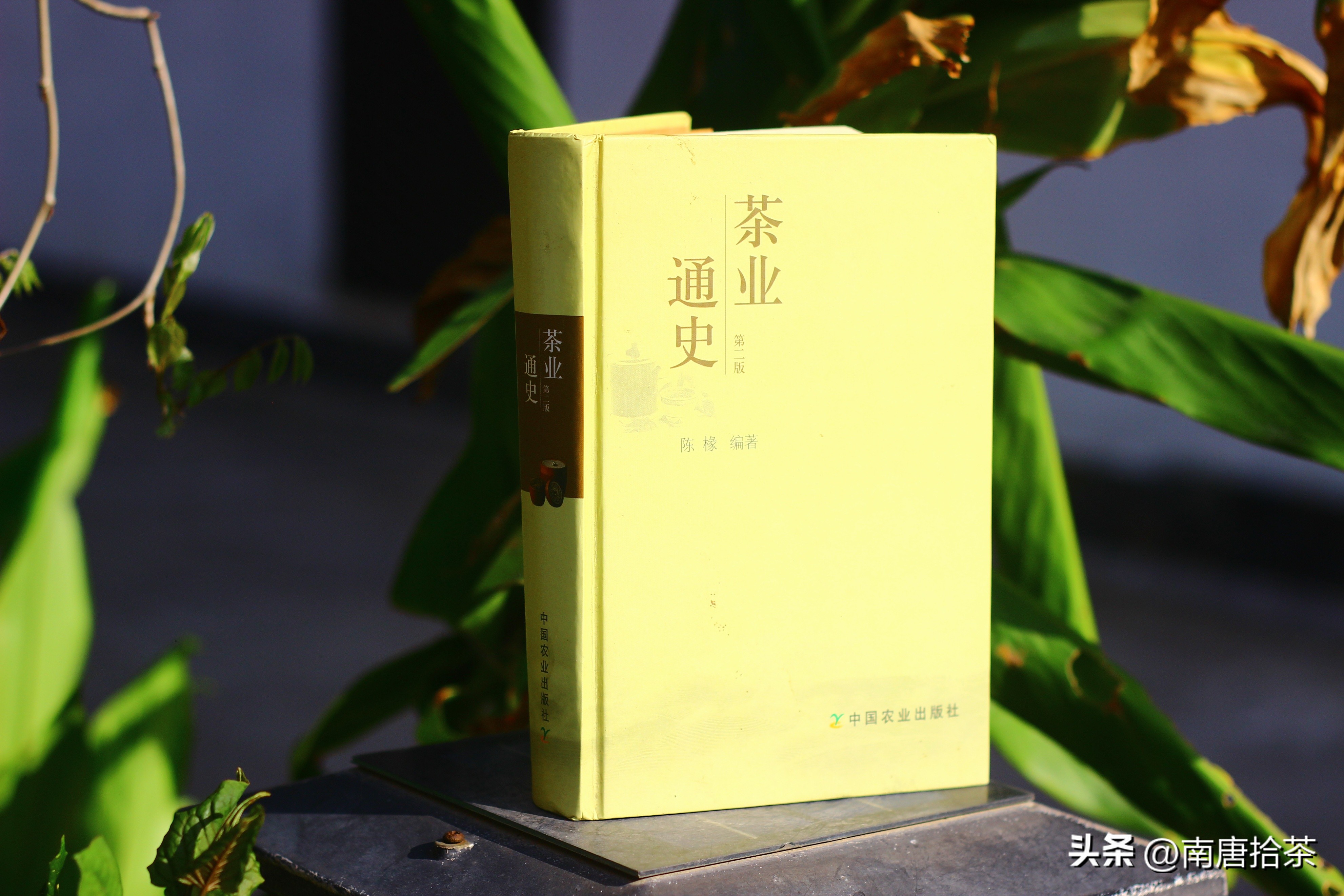 适合新手的茶书有哪些,茶小白入门看什么书