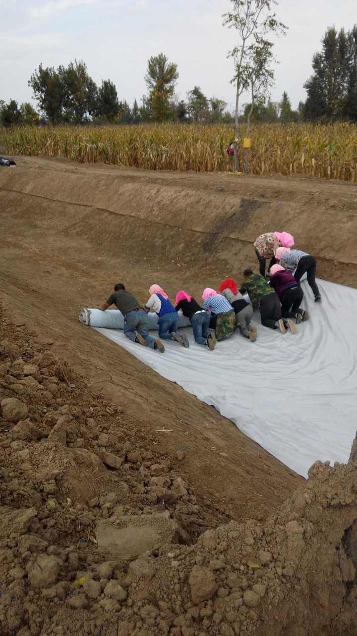 防渗无纺土工布价格,四川防渗无纺土工布多少钱一平
